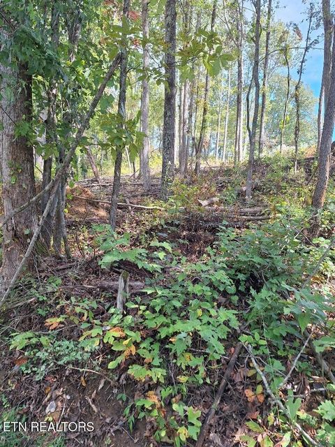 Tiny photo for Old Cave Springs Rd, Tazewell, TN 37879 (MLS # 1316750)