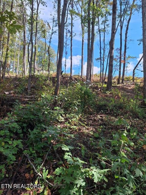 Photo of Old Cave Springs Rd, Tazewell, TN 37879 (MLS # 1316750)