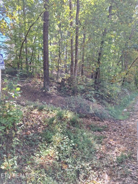 Tiny photo for Old Cave Springs Rd, Tazewell, TN 37879 (MLS # 1316750)