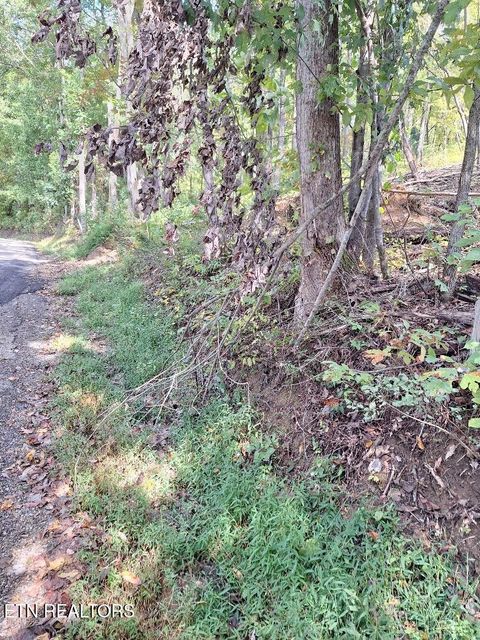 Tiny photo for Old Cave Springs Rd, Tazewell, TN 37879 (MLS # 1316750)