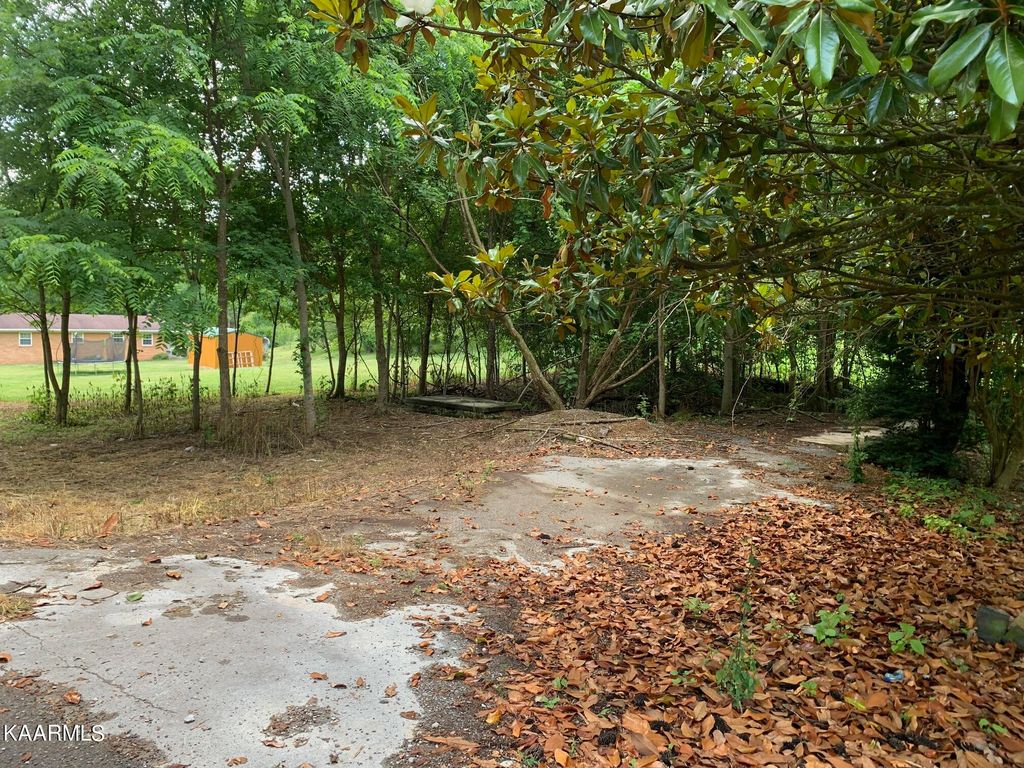 Photo of 132 Dunaway Rd Rd, New Tazewell, TN 37825 (MLS # 1229577)