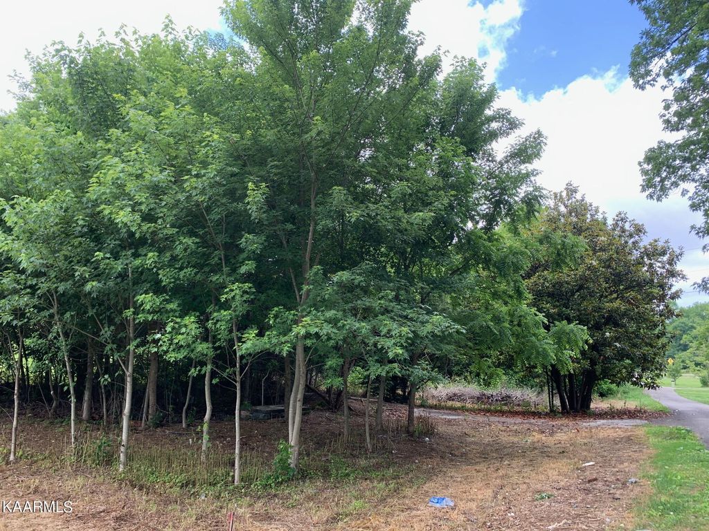 Photo of 132 Dunaway Rd Rd, New Tazewell, TN 37825 (MLS # 1229577)