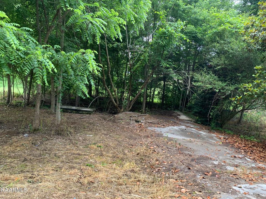 Photo of 132 Dunaway Rd Rd, New Tazewell, TN 37825 (MLS # 1229577)