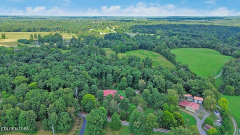 Tiny photo for 247 Cline Rd, Crossville, TN 38571 (MLS # 1356260)