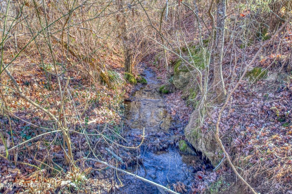 Photo of 2 Burnett Station Rd, Seymour, TN 37865 (MLS # 1325445)