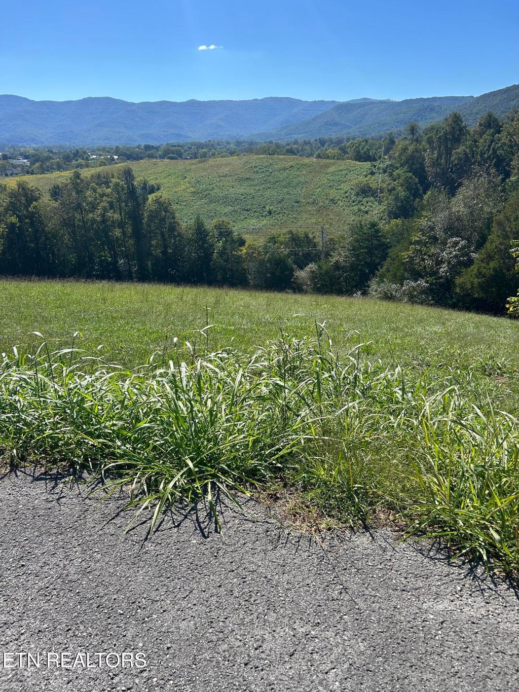 Photo of Mountain Perkins Lane, Jacksboro, TN 37757 (MLS # 1357087)