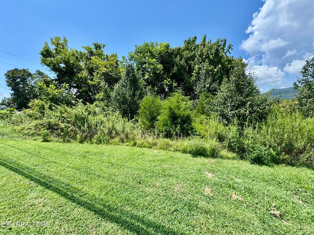 Photo of Rutledge Pike, Blaine, TN 37709 (MLS # 1313983)