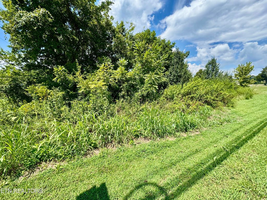 Photo of Rutledge Pike, Blaine, TN 37709 (MLS # 1313983)