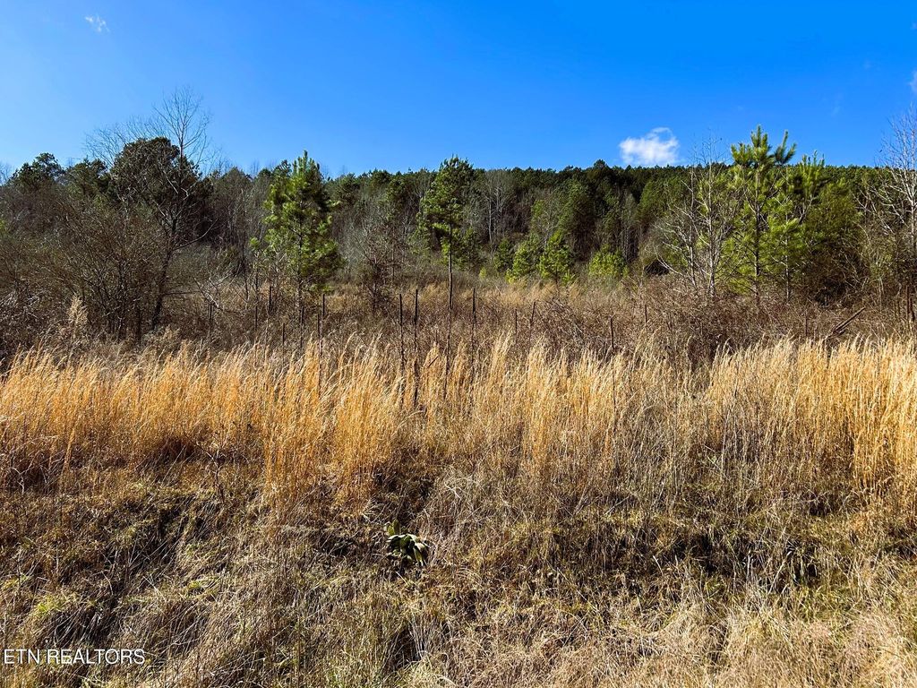 Photo of 00 Cuno Lane, Decatur, TN 37322 (MLS # 1288693)