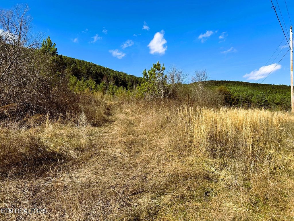 Photo of 00 Cuno Lane, Decatur, TN 37322 (MLS # 1288693)