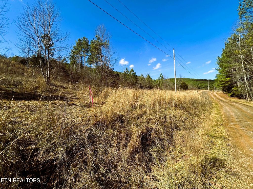 Photo of 00 Cuno Lane, Decatur, TN 37322 (MLS # 1288693)