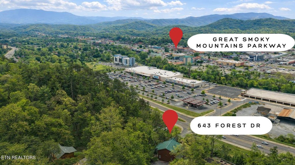 Photo of 643 Forest Drive, Pigeon Forge, TN 37863 (MLS # 1328219)