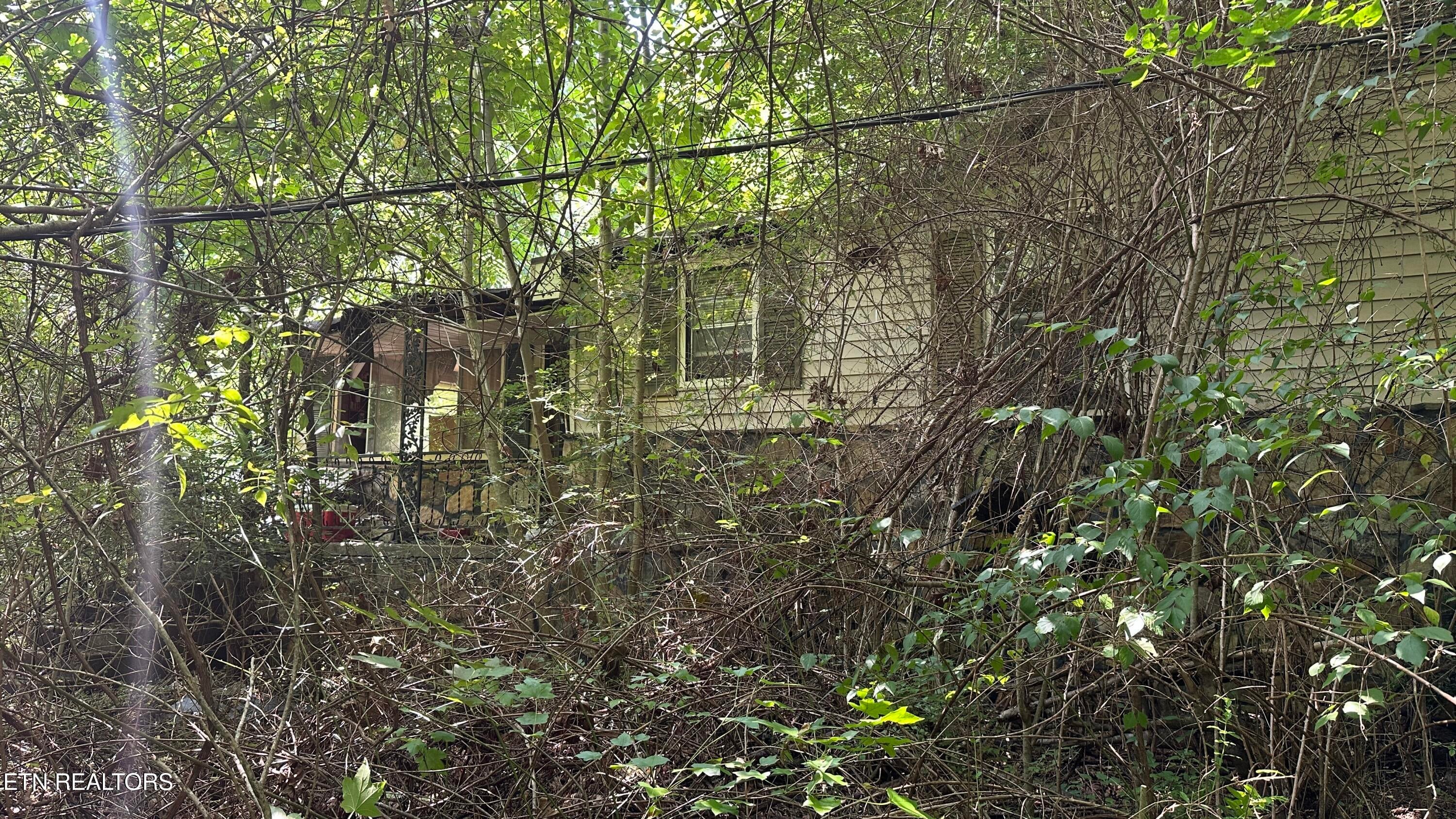 1011 Bazel Rd