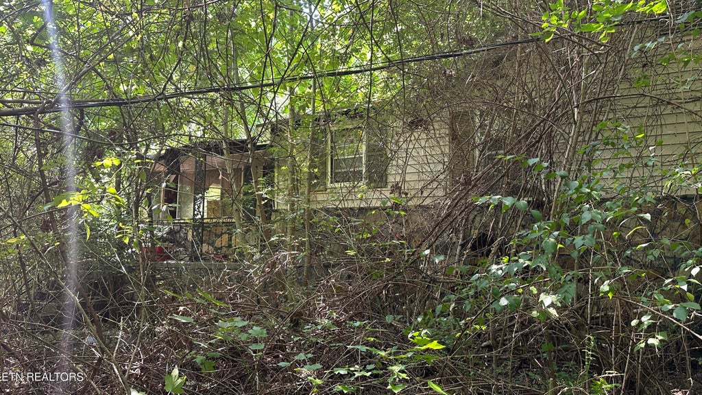 Photo of 1011 Bazel Rd, Harriman, TN 37748 (MLS # 1358038)
