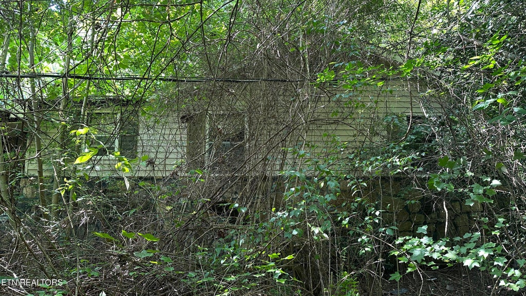 Photo of 1011 Bazel Rd, Harriman, TN 37748 (MLS # 1358038)