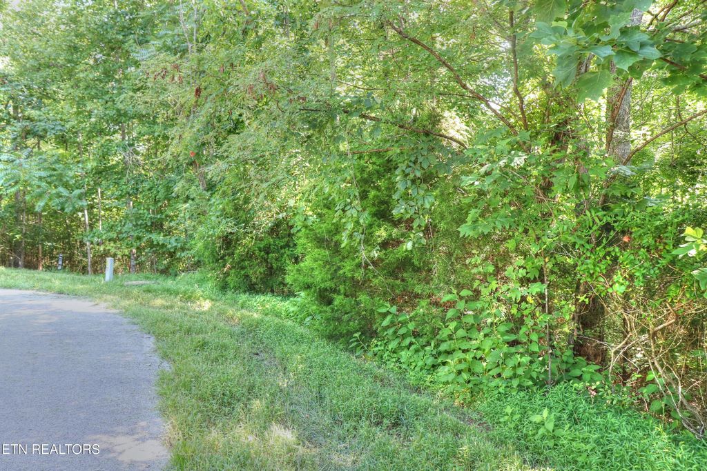 Photo of 432 Beryl Court, New Tazewell, TN 37825 (MLS # 1271912)