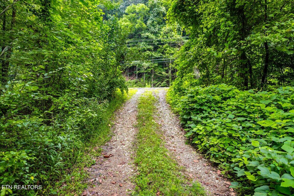 0 Frost Bottom Rd