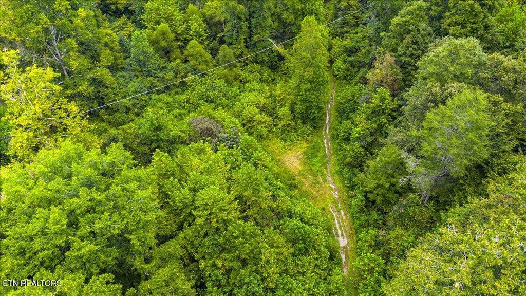 Photo of 0 Frost Bottom Rd, Oliver Springs, TN 37840 (MLS # 1284378)