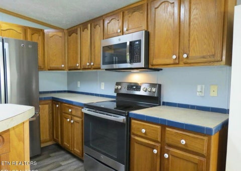 Tiny photo for 1410 Old Chisholm Tr, Dandridge, TN 37725 (MLS # 1356071)