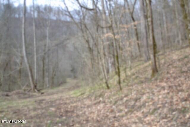 290 Hazel Huffines Lane