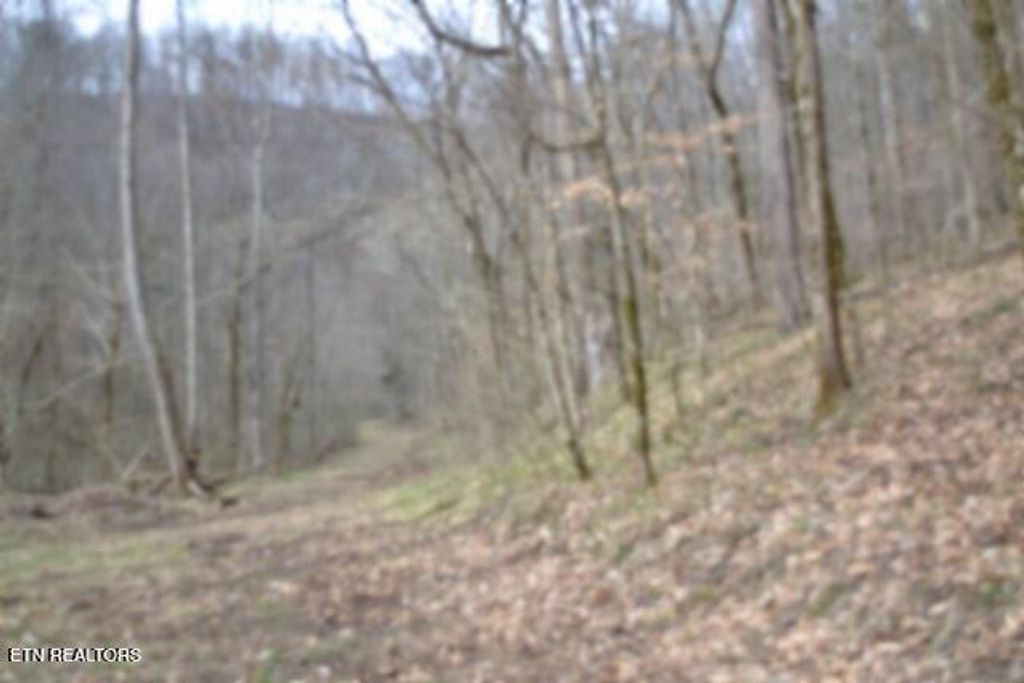 Photo of 290 Hazel Huffines Lane, Whitleyville, TN 38588 (MLS # 1331718)