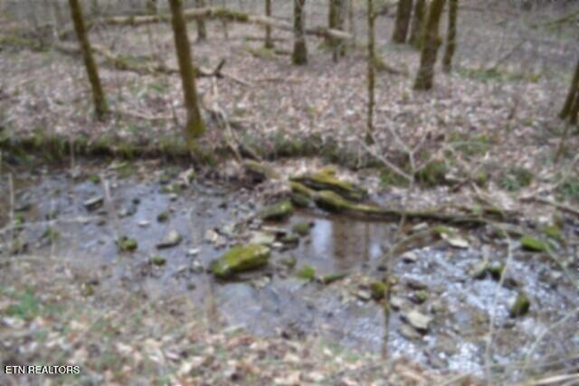 290 Hazel Huffines Lane