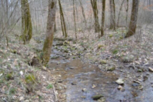 290 Hazel Huffines Lane