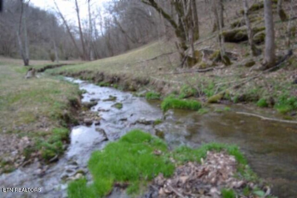 Photo of 290 Hazel Huffines Lane, Whitleyville, TN 38588 (MLS # 1331718)