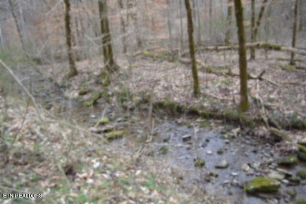 Photo of 290 Hazel Huffines Lane, Whitleyville, TN 38588 (MLS # 1331718)