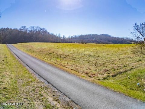 Tiny photo for 475 lot Shainas Place, Sharps Chapel, TN 37866 (MLS # 1336083)