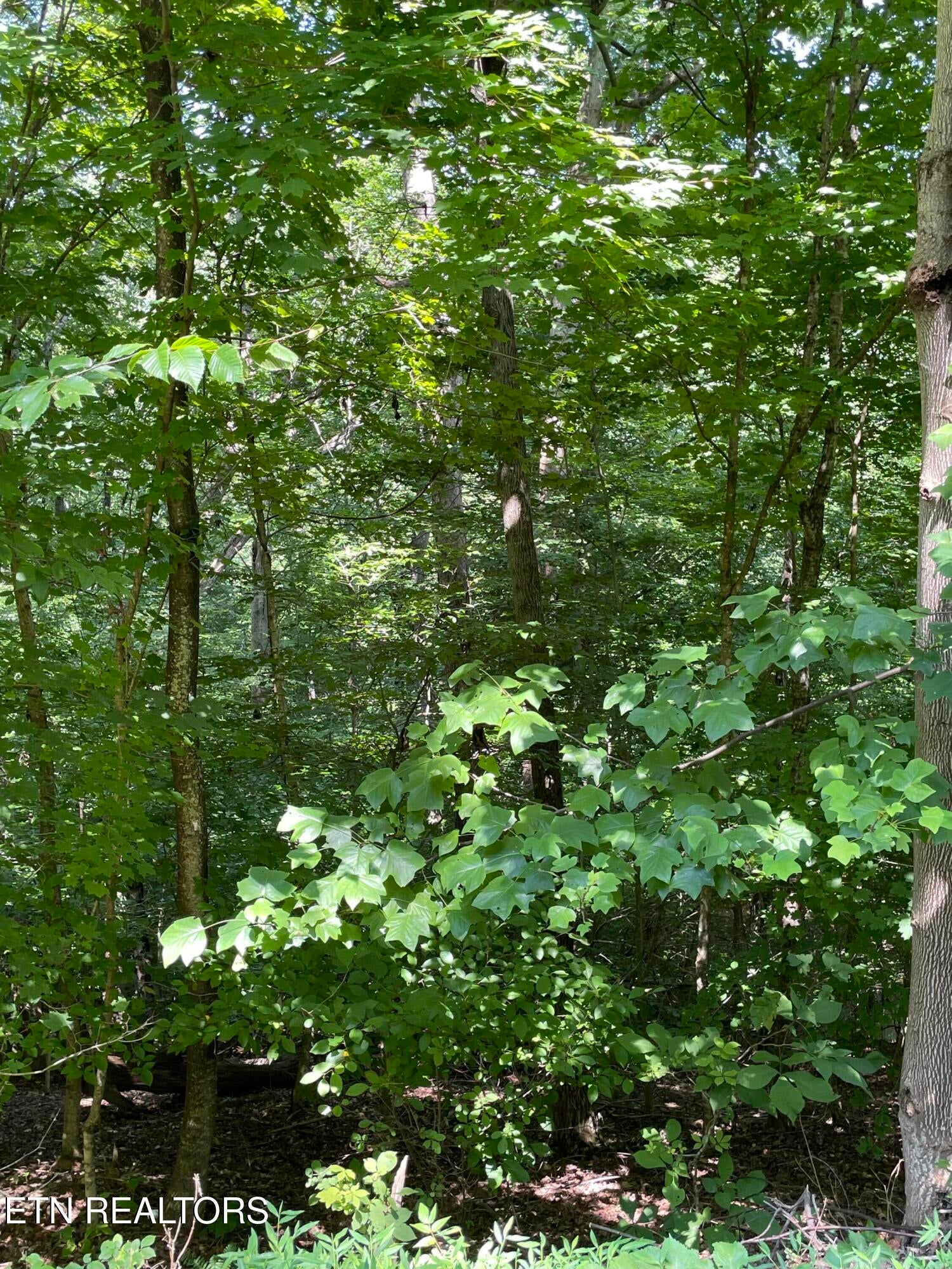 Lot 926 Stoneway Court