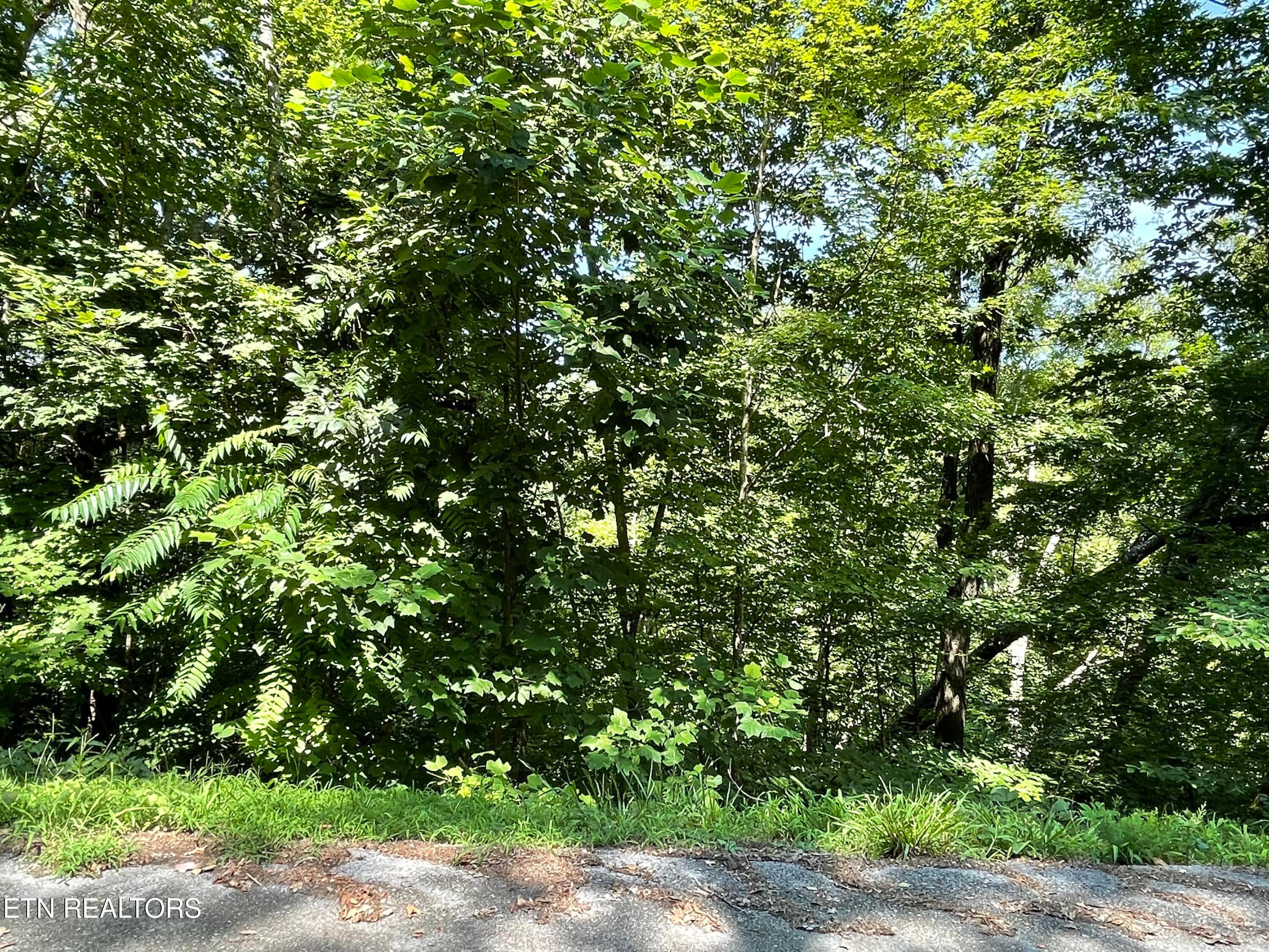 Lot 926 Stoneway Court