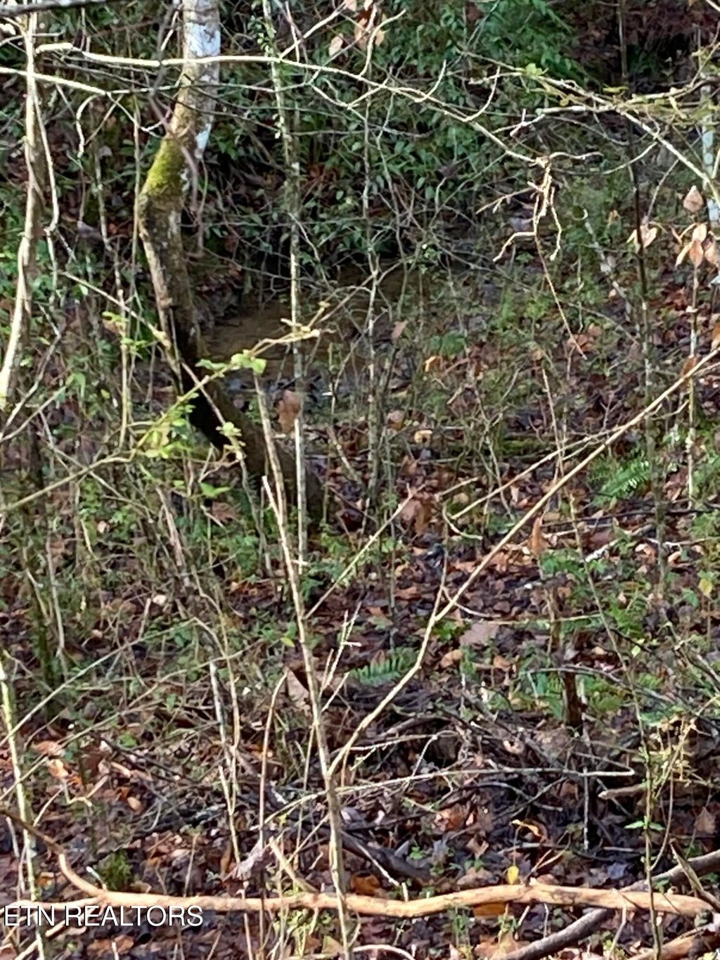 Photo of 53 Fiesta Blvd, Sevierville, TN 37876 (MLS # 1285250)