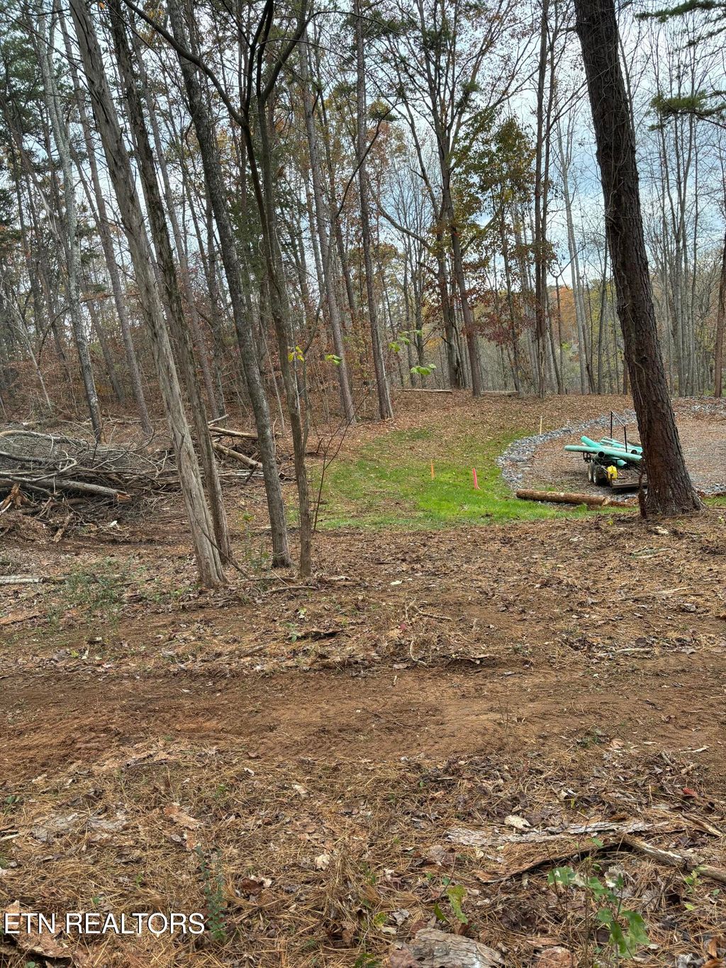 Photo of Montego Way, Strawberry Plains, TN 37871 (MLS # 1283367)