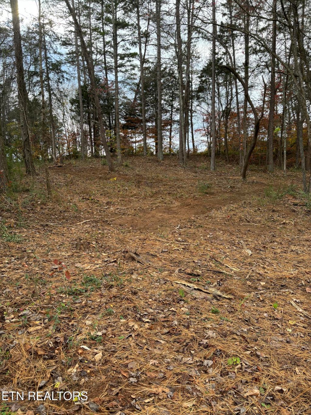 Photo of Montego Way, Strawberry Plains, TN 37871 (MLS # 1283367)