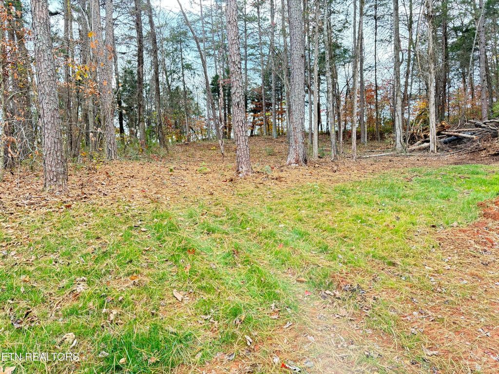Photo of Montego Way, Strawberry Plains, TN 37871 (MLS # 1283367)