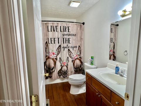 Tiny photo for 845 Quiet Oaks Way, Dandridge, TN 37725 (MLS # 1322999)