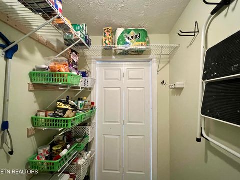 Tiny photo for 845 Quiet Oaks Way, Dandridge, TN 37725 (MLS # 1322999)