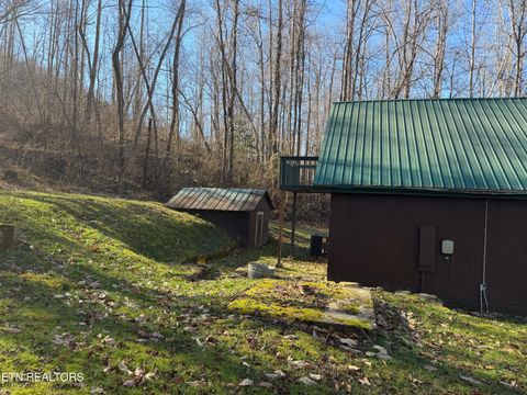 Tiny photo for 5901 New River Hwy, Briceville, TN 37710 (MLS # 1326364)