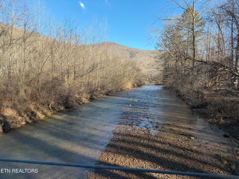 Tiny photo for 5901 New River Hwy, Briceville, TN 37710 (MLS # 1326364)