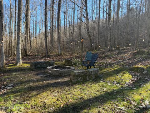 Tiny photo for 5901 New River Hwy, Briceville, TN 37710 (MLS # 1326364)