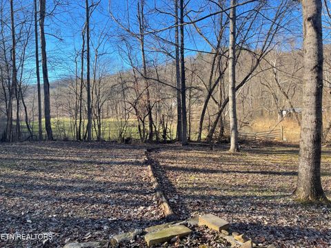 Tiny photo for 5901 New River Hwy, Briceville, TN 37710 (MLS # 1326364)