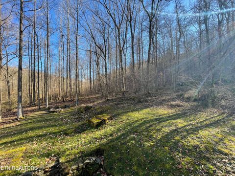 Tiny photo for 5901 New River Hwy, Briceville, TN 37710 (MLS # 1326364)