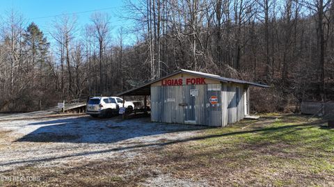 Tiny photo for 5901 New River Hwy, Briceville, TN 37710 (MLS # 1326364)