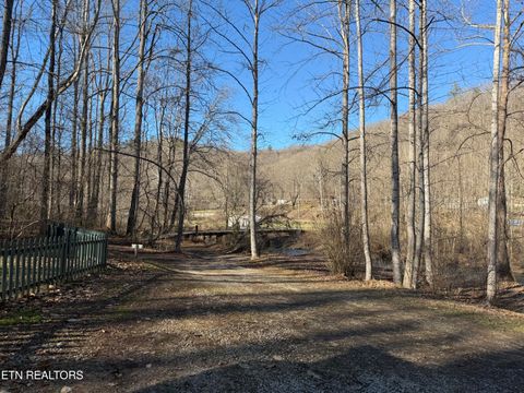 Tiny photo for 5901 New River Hwy, Briceville, TN 37710 (MLS # 1326364)