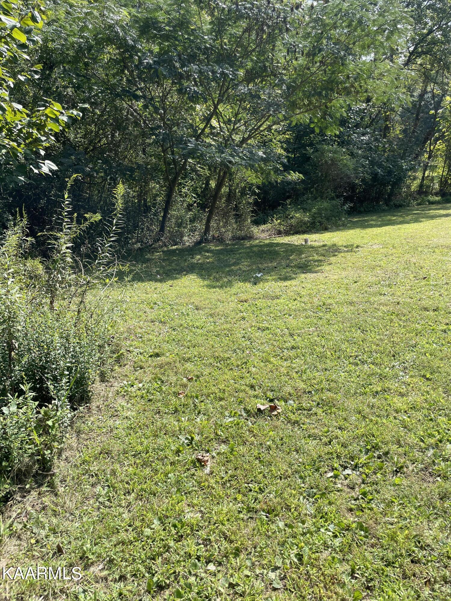 Photo 3 of 4 of 2521 Old Harriman Hwy land