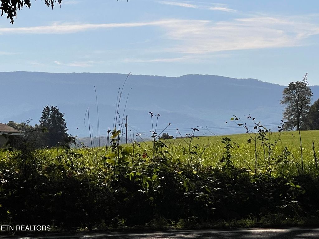 Photo of 138 Maryville Hwy, Seymour, TN 37865 (MLS # 1335000)