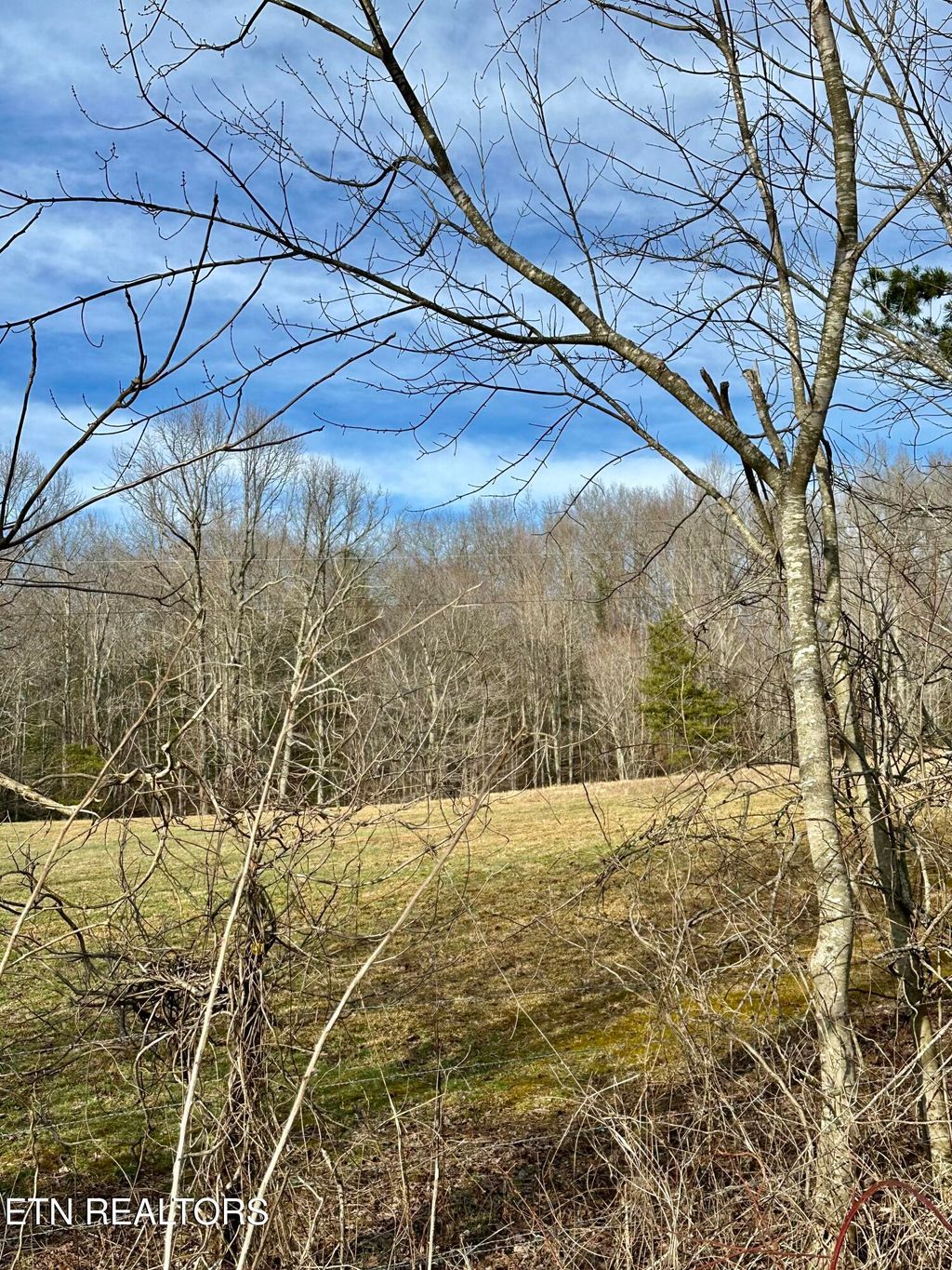 Photo of Mullins Lane, Sunbright, TN 37872 (MLS # 1290892)