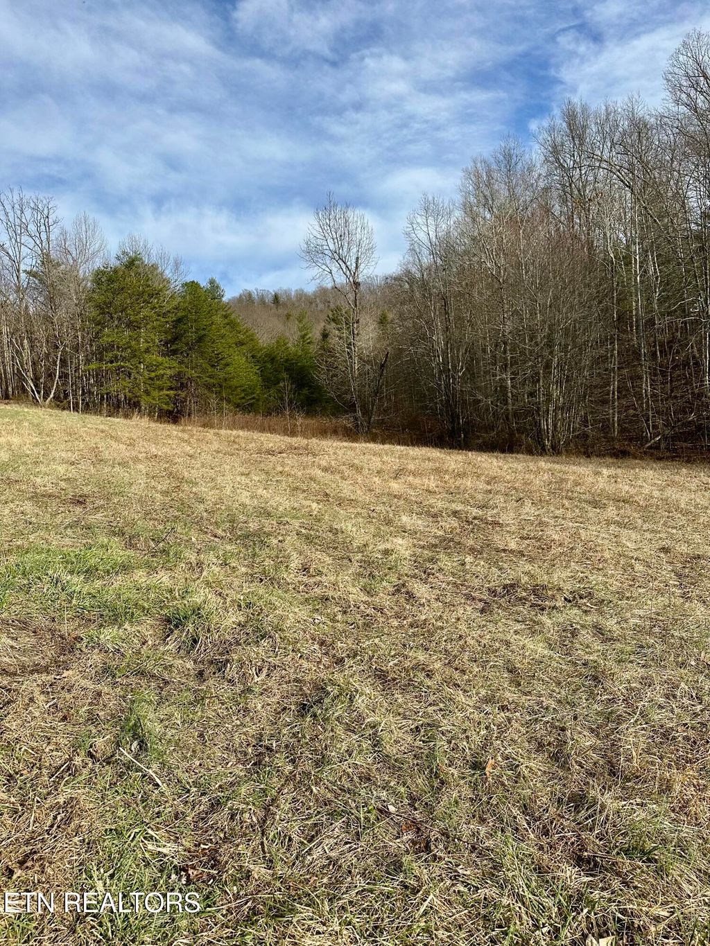 Photo of Mullins Lane, Sunbright, TN 37872 (MLS # 1290892)