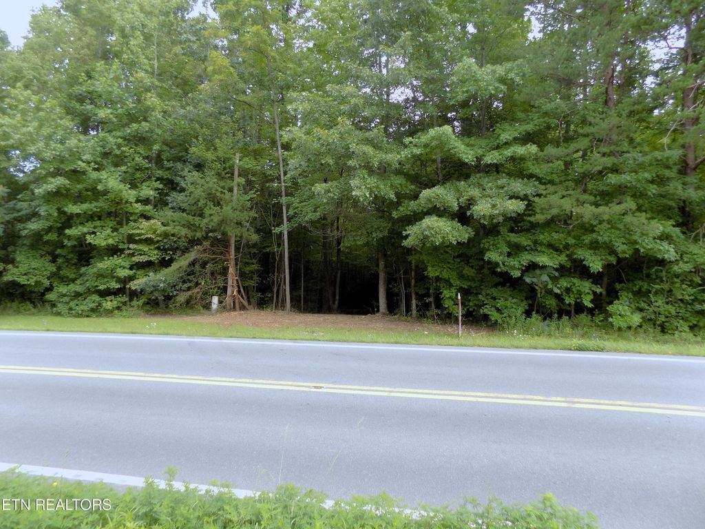 Photo of 13 Hooper Hwy, Cosby, TN 37722 (MLS # 1272511)